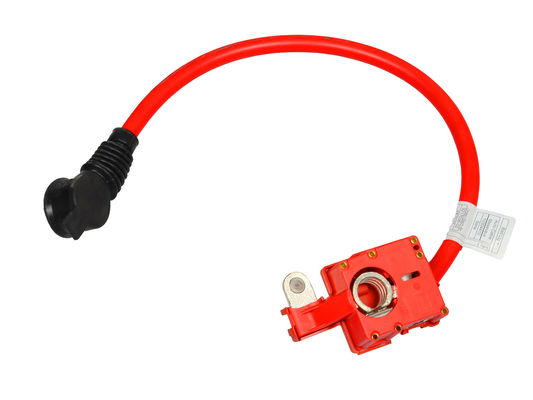 ποιότητας  Red Auto Battery Cables Automotive Battery Cable OE:#61129217036 εργοστάσιο
