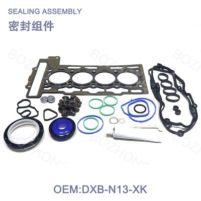 Engine Gasket Set Repair Kit    OE：DXB-N13-XK    For N13